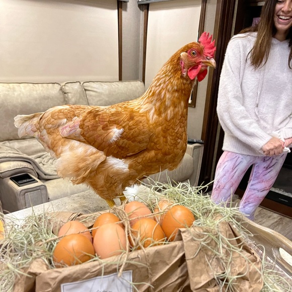 🎶Happy campers T-shirt 🎶 - Picture 17 of 17